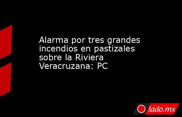 Alarma por tres grandes incendios en pastizales sobre la Riviera Veracruzana: PC. Noticias en tiempo real