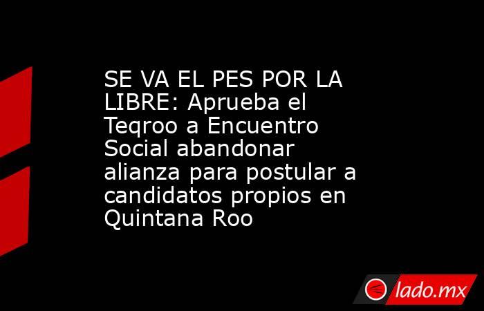 SE VA EL PES POR LA LIBRE: Aprueba el Teqroo a Encuentro Social abandonar alianza para postular a candidatos propios en Quintana Roo. Noticias en tiempo real