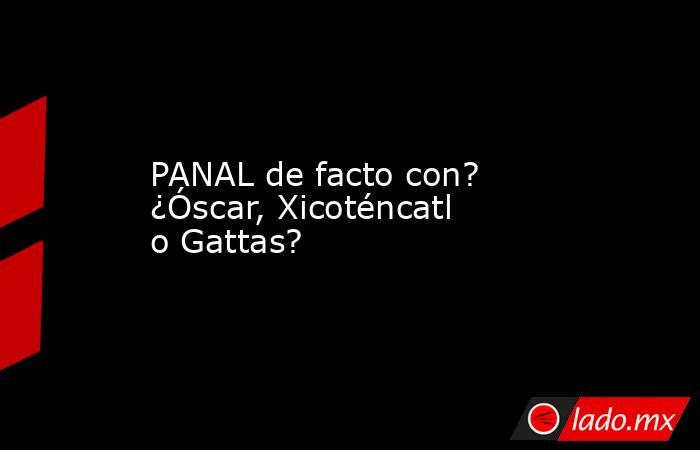 PANAL de facto con? ¿Óscar, Xicoténcatl o Gattas?. Noticias en tiempo real