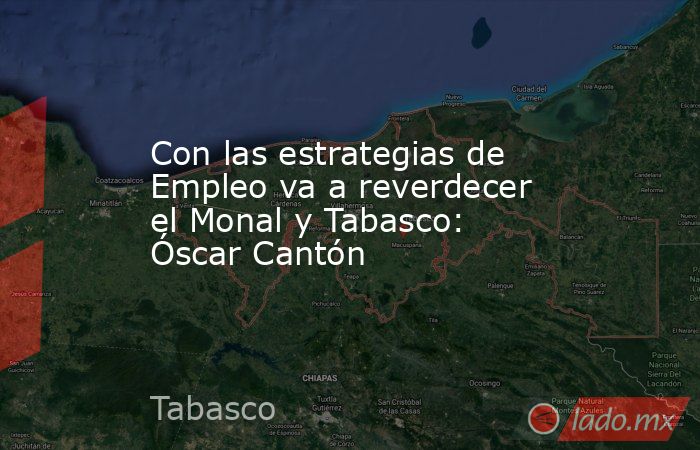Con las estrategias de Empleo va a reverdecer el Monal y Tabasco: Óscar Cantón. Noticias en tiempo real
