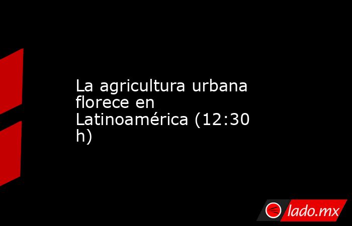 La agricultura urbana florece en Latinoamérica (12:30 h). Noticias en tiempo real