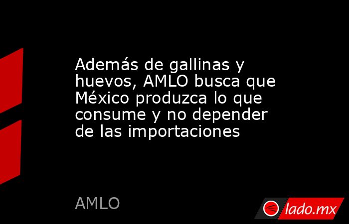 Además de gallinas y huevos, AMLO busca que México produzca lo que consume y no depender de las importaciones. Noticias en tiempo real