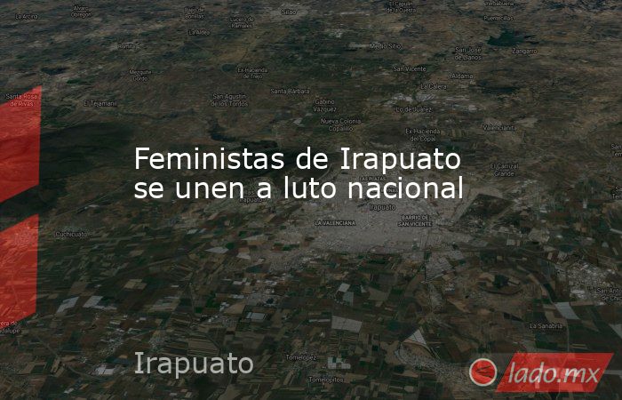 Feministas de Irapuato se unen a luto nacional. Noticias en tiempo real