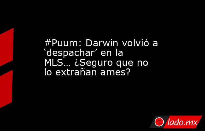 #Puum: Darwin volvió a ‘despachar’ en la MLS… ¿Seguro que no lo extrañan ames?. Noticias en tiempo real